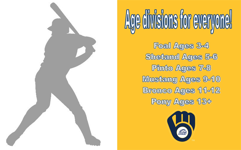 Age Divisions 